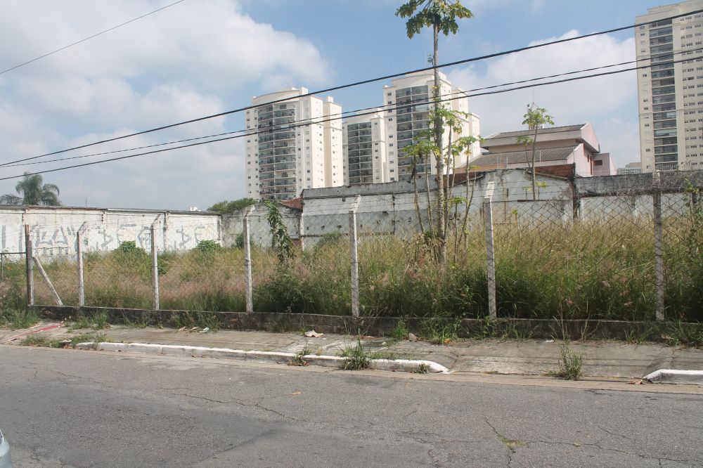 Terreno - Venda - Parque da VIla Prudente - São Paulo - SP
