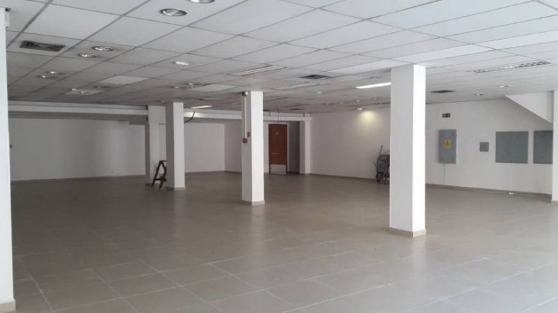 Imvel Comercial - Aluguel - Vila Prudente - So Paulo - SP
