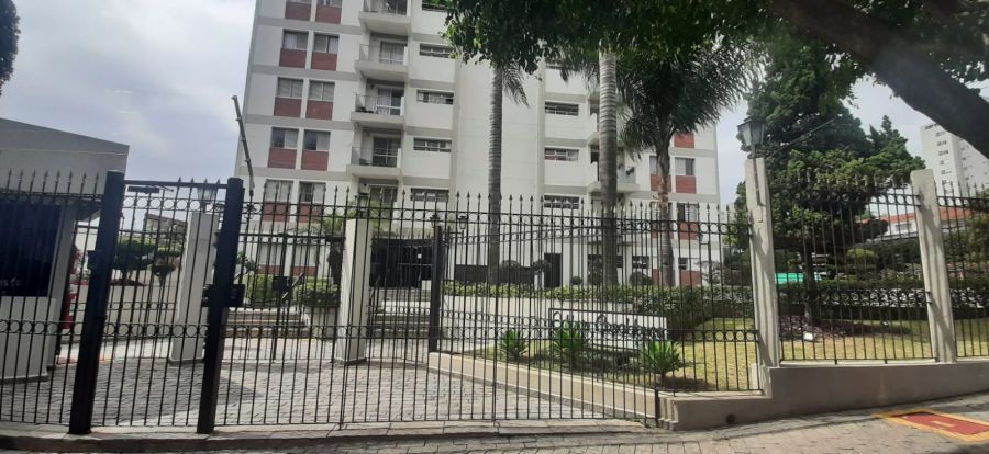 Apartamento - Aluguel - Ipiranga - So Paulo - SP