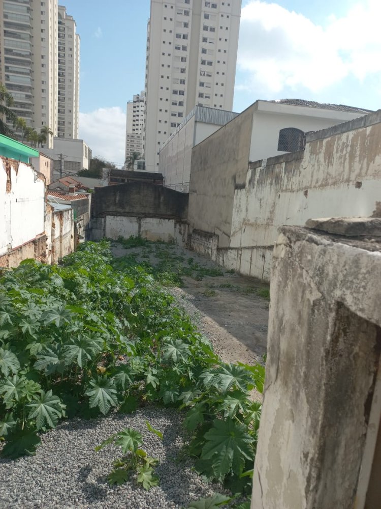Terreno - Venda - Vila Regente Feij - So Paulo - SP